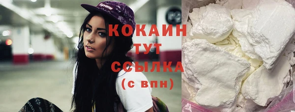 прущие грибы Балабаново