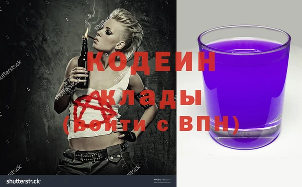 прущие грибы Балабаново