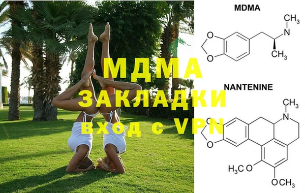 прущие грибы Балабаново